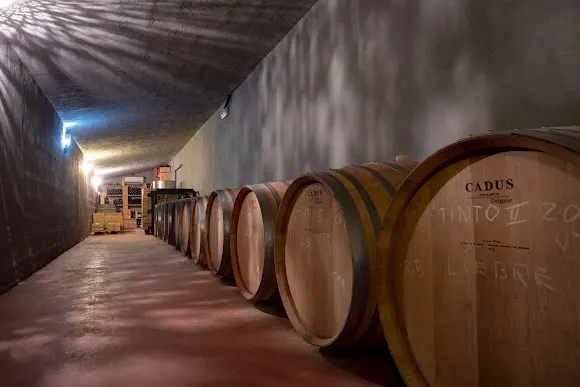 Bodega Conde de SUYROT - Manacor