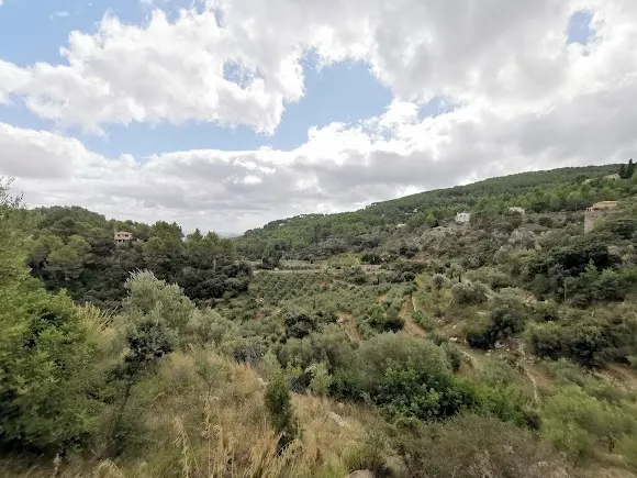 Bodega Es Verger