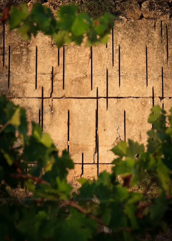 DALT TURÓ - wine tasting room - wine cellar - Felanitx
