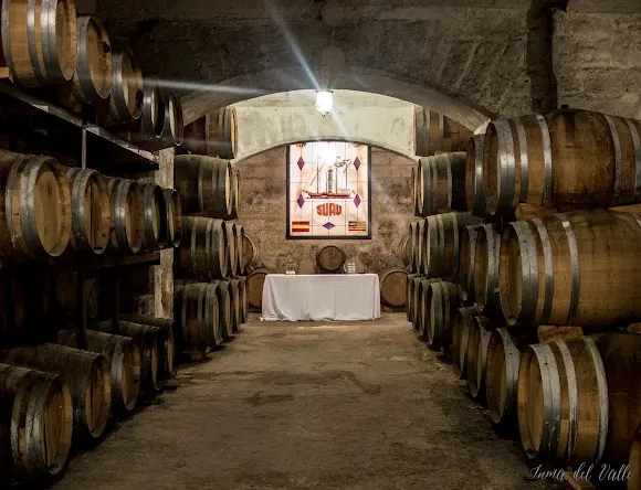 Bodegas Suau