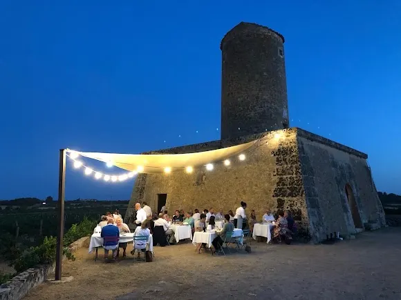 Molí de son Porquer- vinyes MESQUIDA MORA - Porreres