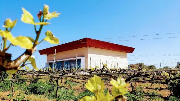 Binitord Bodega - Ciutadella de Menorca