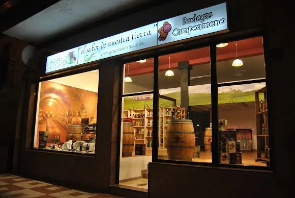 Tienda Aceites Sierra Sur y Bodegas Campoameno - Alcalá la Real