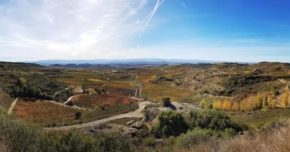 Bodegas Ruiz del Portal