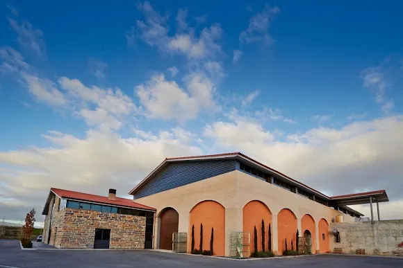 Bodegas y Viñedos Ilurce