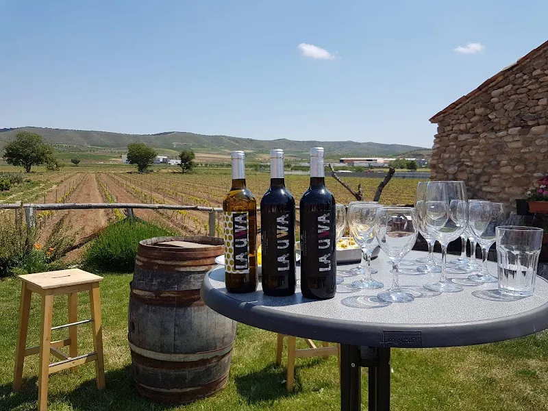 LAUWA WINES - Cervera del Rio Alhama