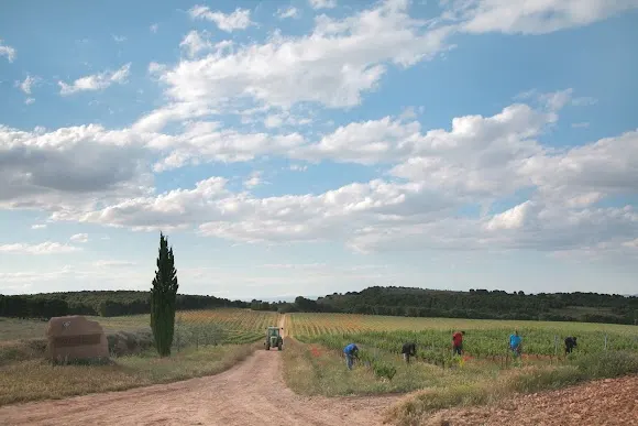 Bodega Viñedos Ruiz Jiménez - Calahorra
