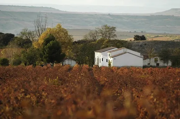 Bodegas Larraz CAUDUM - Nájera