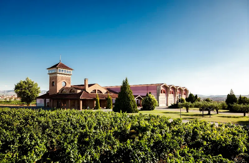 Bodegas Viña Ijalba - Bodega en Logroño - foto 2