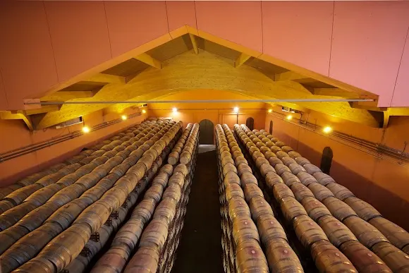 Bodegas Domeco de Jarauta - Calahorra