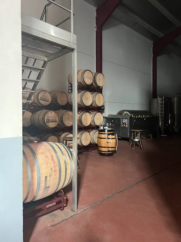 Bodega Sáenz Yustes