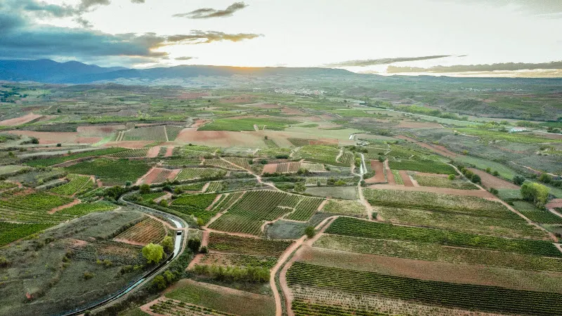 Bodegas Cuna de Reyes - Bodega en Nájera - foto 2