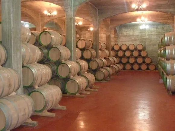 BODEGAS PETRALANDA S.L.