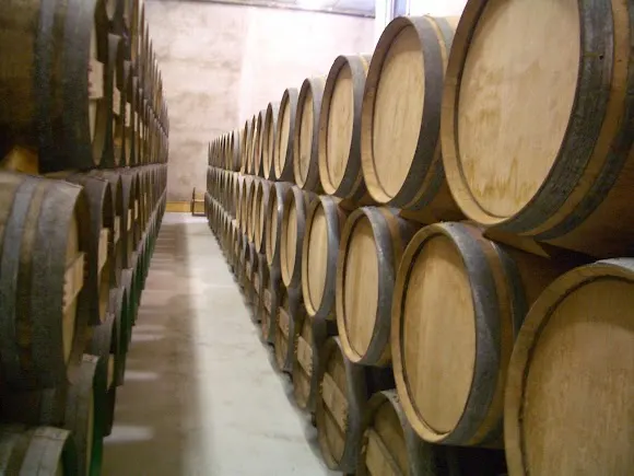 Bodegas y Viñedos Ramírez de Inoriza S.C
