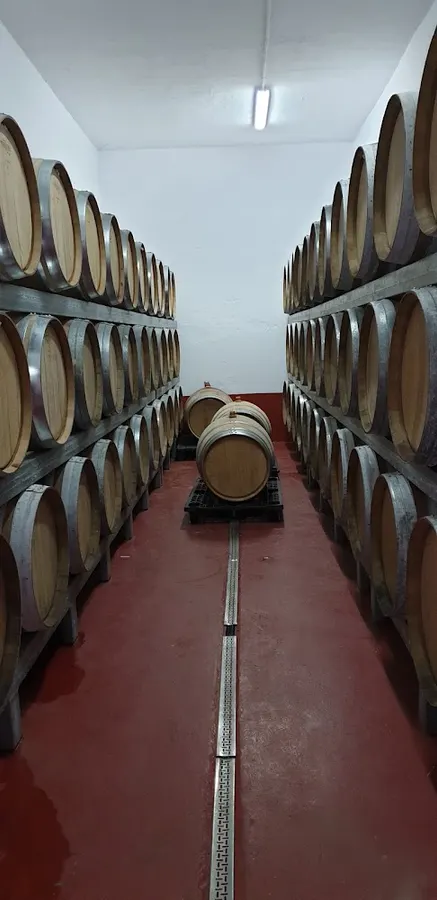 Bodegas Frontón de Oro - San Bartolomé de Tirajana