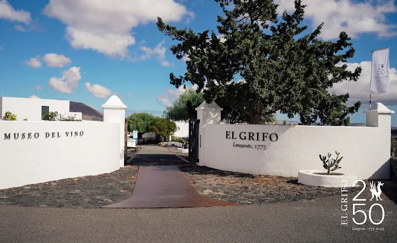 Museo del Vino El Grifo - Museo en San Bartolomé - foto 3