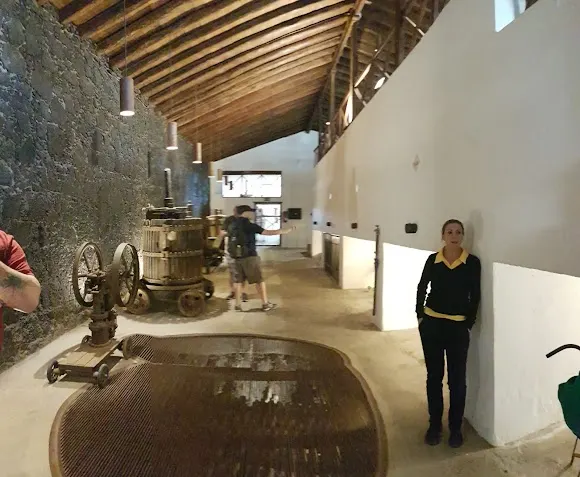Bodegas EL GRIFO - San Bartolomé
