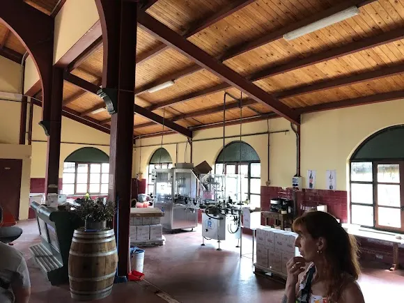 Bodegas Marcos Miñambres - León