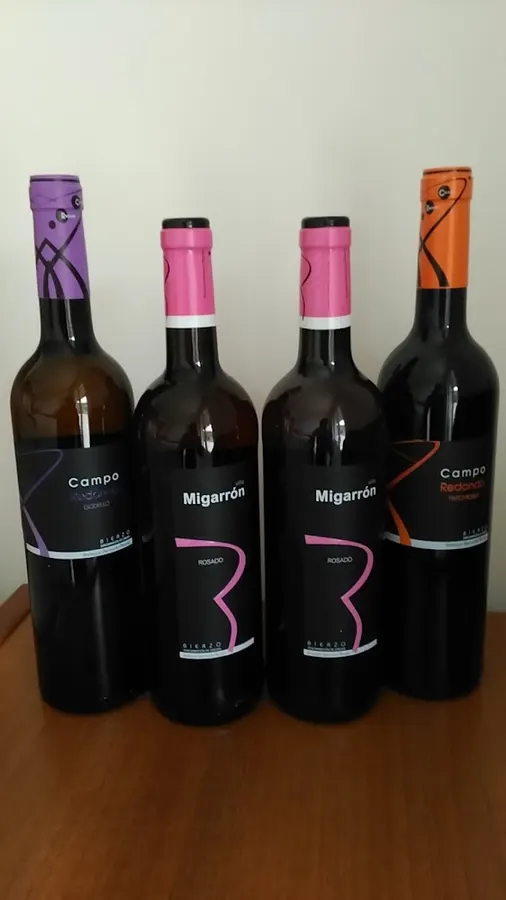 BODEGAS BERNARDO ÁLVAREZ - Ponferrada
