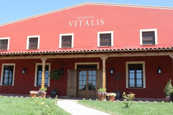 Bodegas VITALIS - León