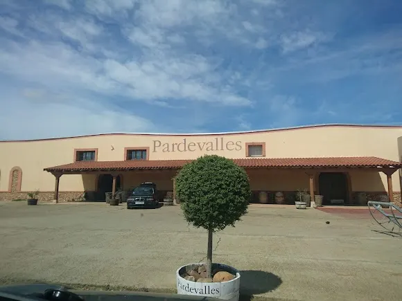 Bodegas y Viñedos Pardevalles - León