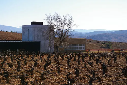 Losada Vinos De Finca SA - Ponferrada
