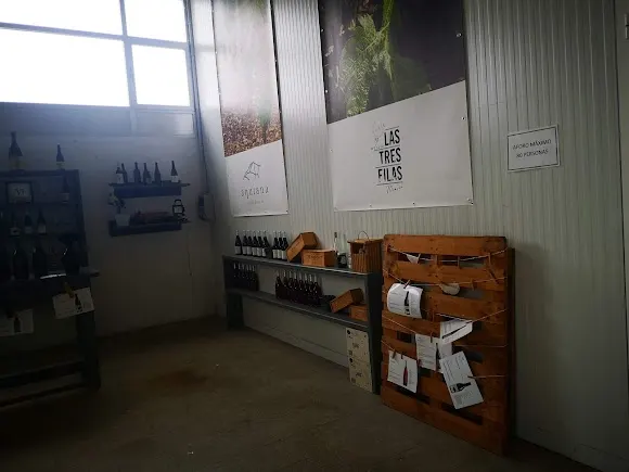 Bodegas y viñedos Merayo - Ponferrada