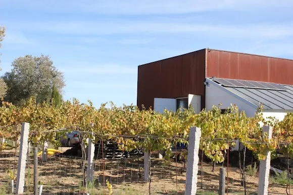 Bodegas Crisalidas - León