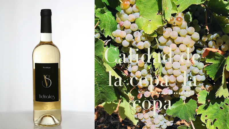 Bodegas Verdes ,S.L. - Benavente