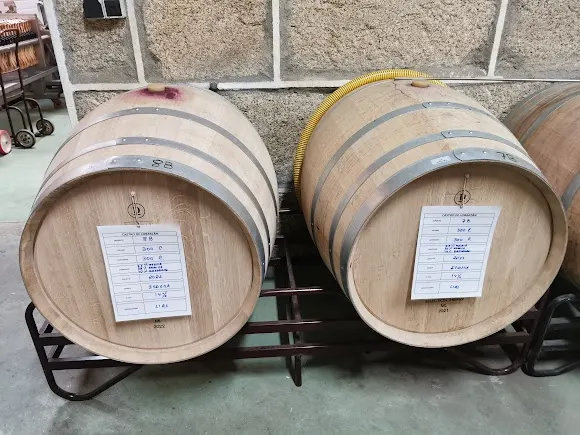 Bodega Castro de Lobarzan