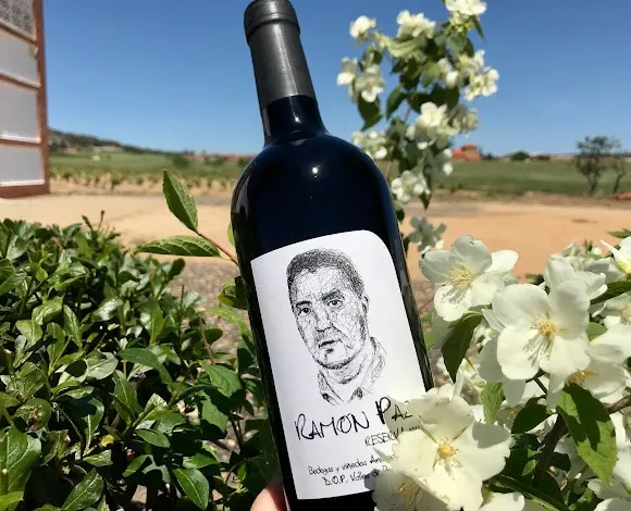 Bodegas & viñedos Andrea Gutiérrez - La Bañeza