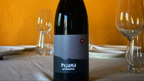 Demencia Wine - Ponferrada