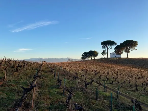 Cantariña Vinos de Familia - Ponferrada