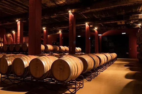 Bodegas Costers del Sió, S.L. - Balaguer