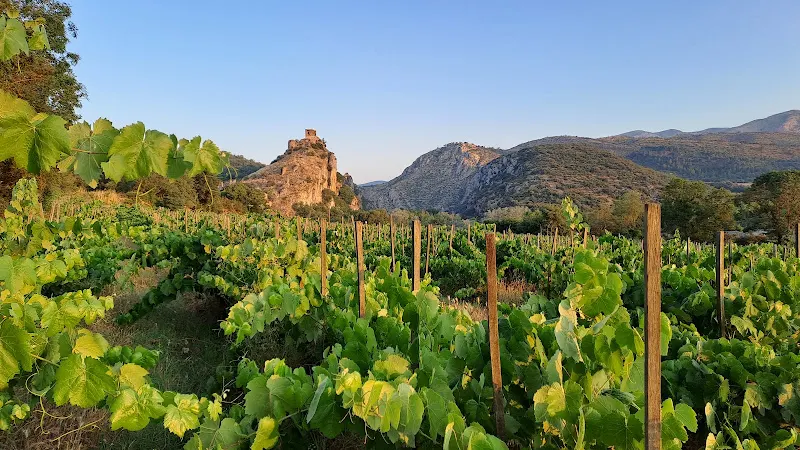 Celler Rubió de Sòls - Balaguer