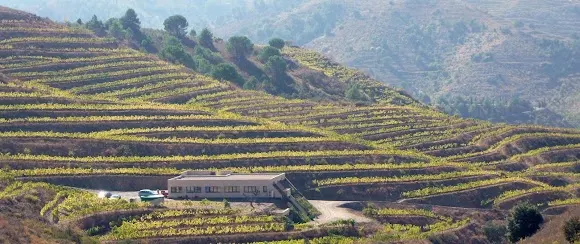 Marco Abella - Bodega en Mont-roig del Camp