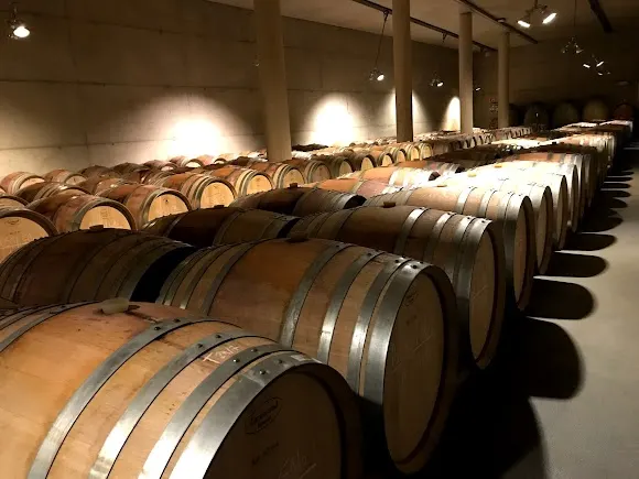 Bodega Ferrer Bobet
