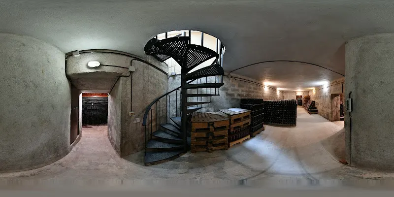 Bodega de Vino y Cava Vives Ambrós - Bodega en Montferri - foto 2