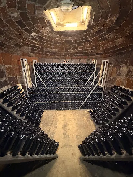 Bodega de Vino y Cava Vives Ambrós - Bodega en Montferri - foto 3
