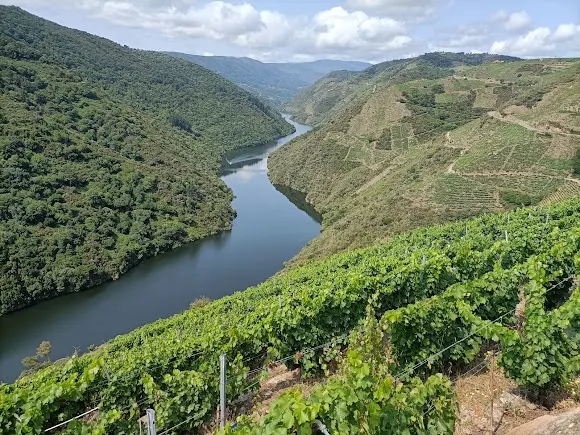 Adega Terrabrava - Castro Caldelas