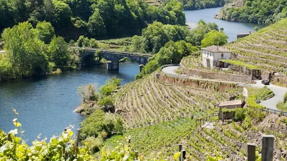 Virxen Dos Remedios