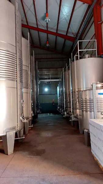 BODEGAS VICTORIA ORDOÑEZ & HIJOS - Bodega en Málaga - foto 2