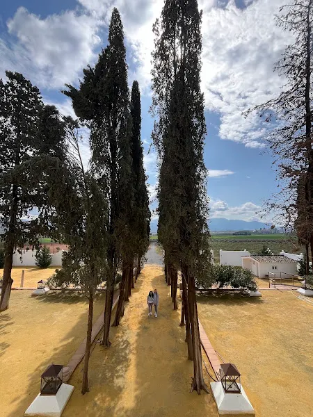 CORTIJO EL SOLANO - Bodega en Antequera - foto 2