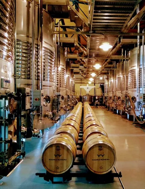 Bodega Madrid Romero - Bodega en San Javier