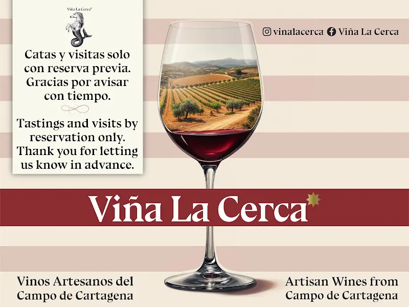 Bodega Viña La Cerca - Bodega en Cartagena - foto 2