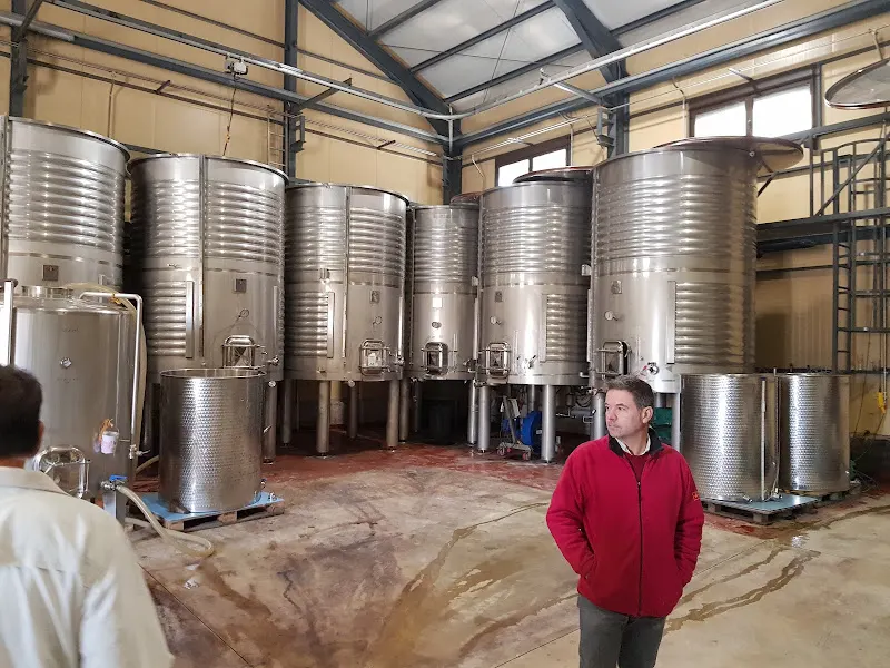 Bodega El Seseo - Bodega en Bullas - foto 2