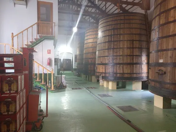 Bodegas Fermín Gilar S L