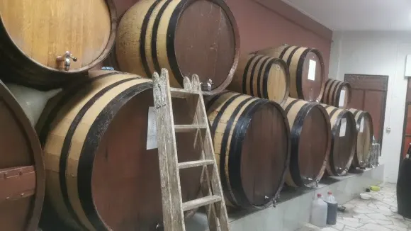 Bodega Regino - Tienda de vinos en Puerto Lumbreras
