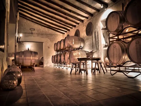 Bodegas Xenysel - Bodega DOP Jumilla