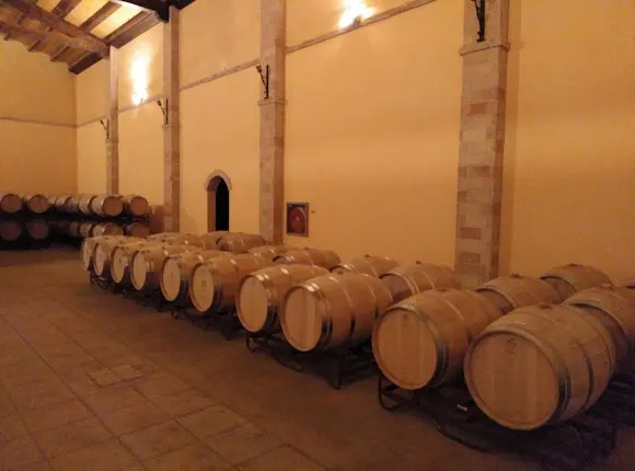 Bodegas y Viñedos Alzania - Estella